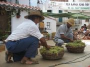 El Borge, d�a de la pasa 07. M�laga